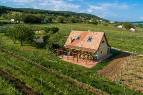 Tagyon Birtok Tulipános Apartman